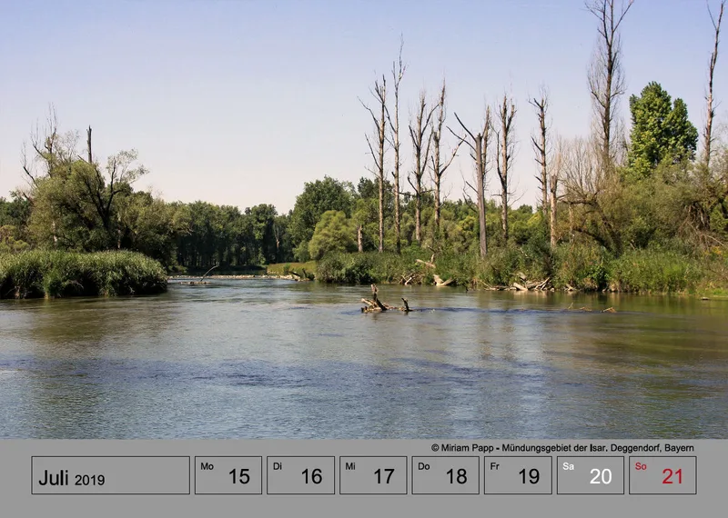 Wochenkalender auf grauem Hintergrund A4