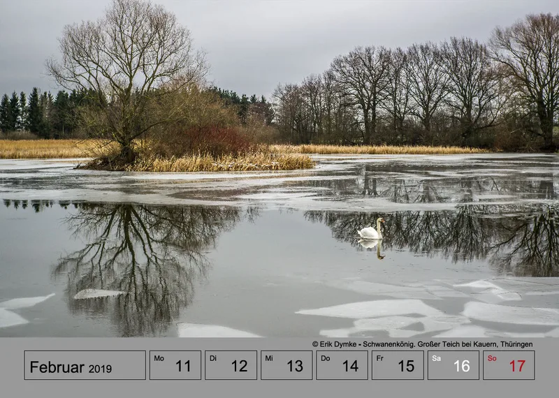 Wochenkalender auf grauem Hintergrund A4