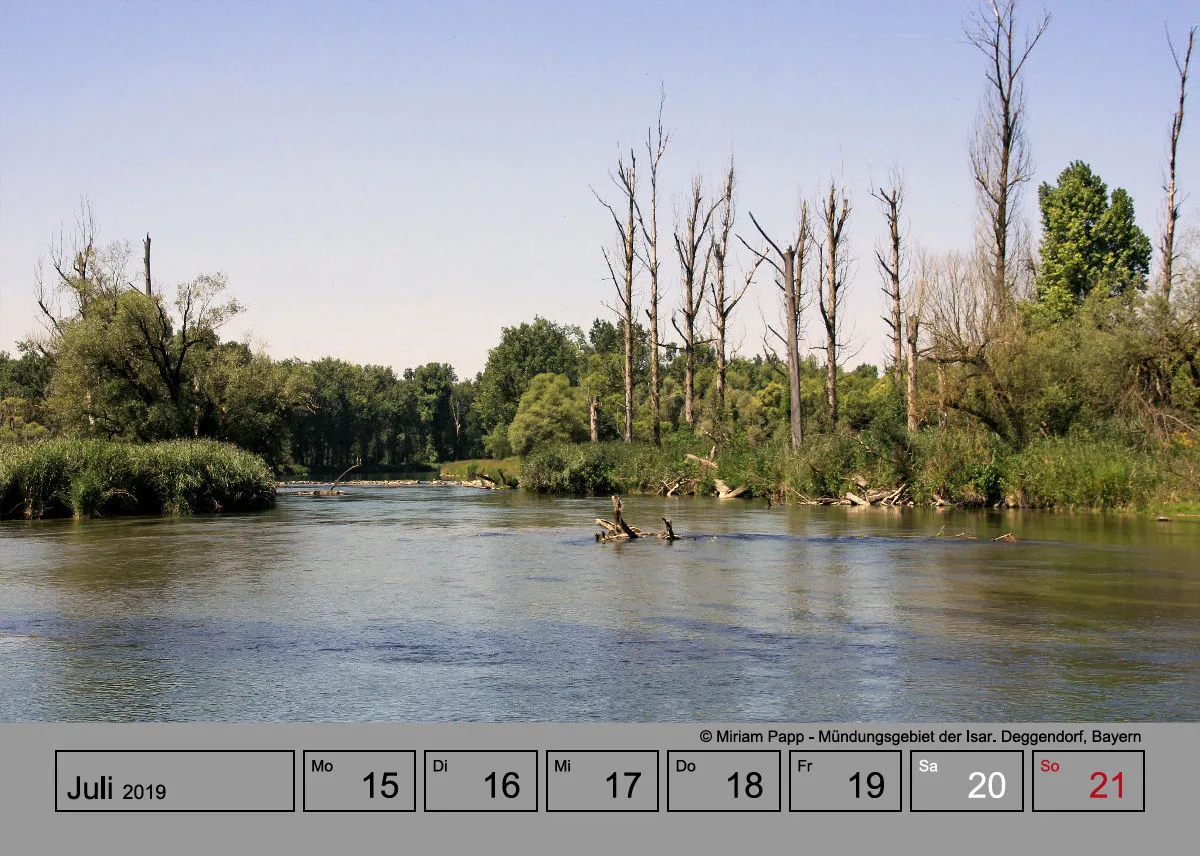 Wochenkalender auf grauem Hintergrund A5