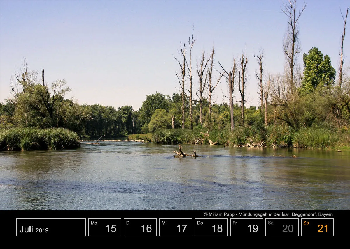 Wochenkalender auf schwarzem Hintergrund A5