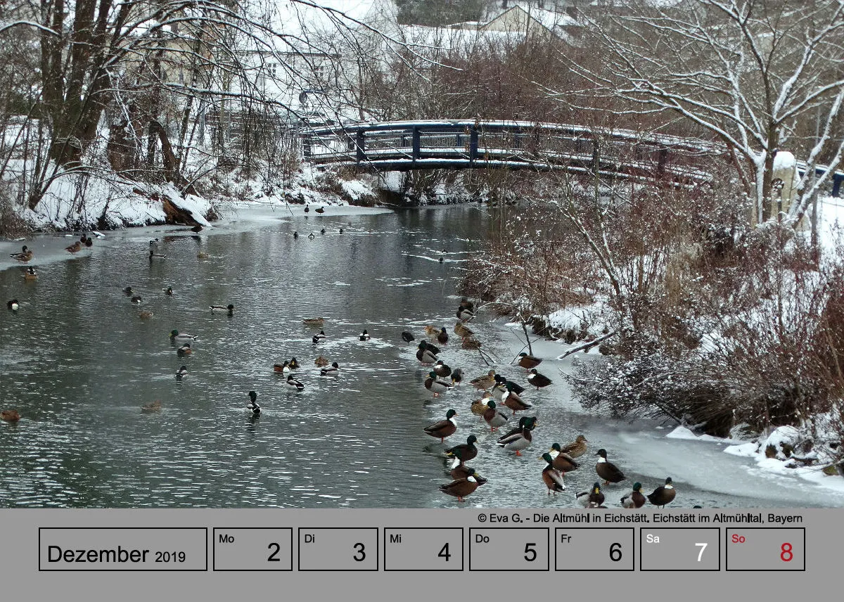 Tisch-Wochenkalender auf grauem Hintergrund A5