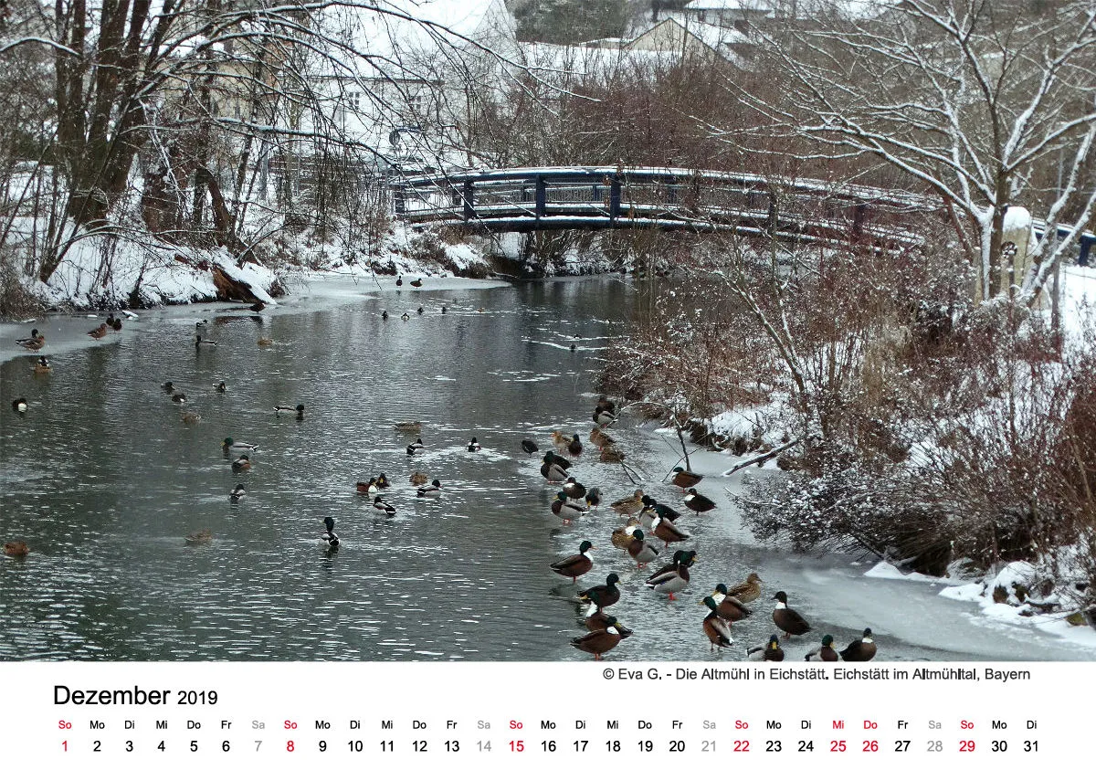 Monatskalender auf hellem Hintergrund A3
