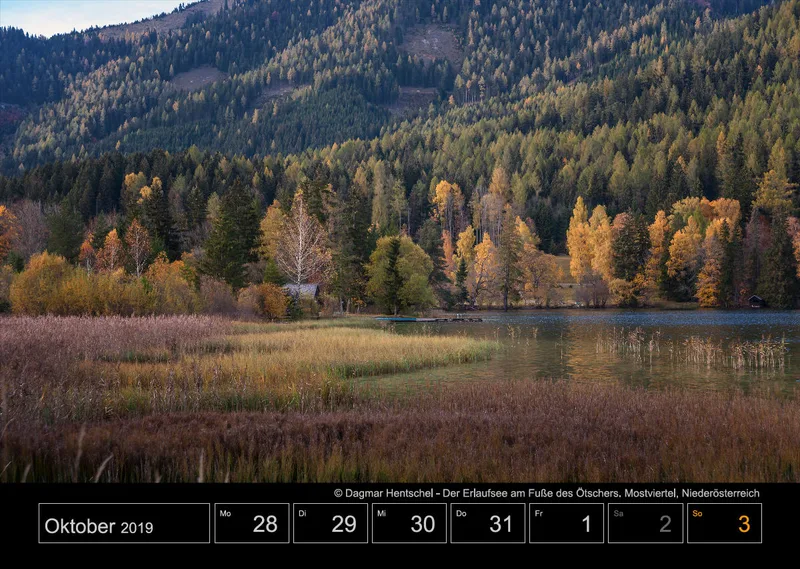 Wochenkalender auf schwarzem Hintergrund A3