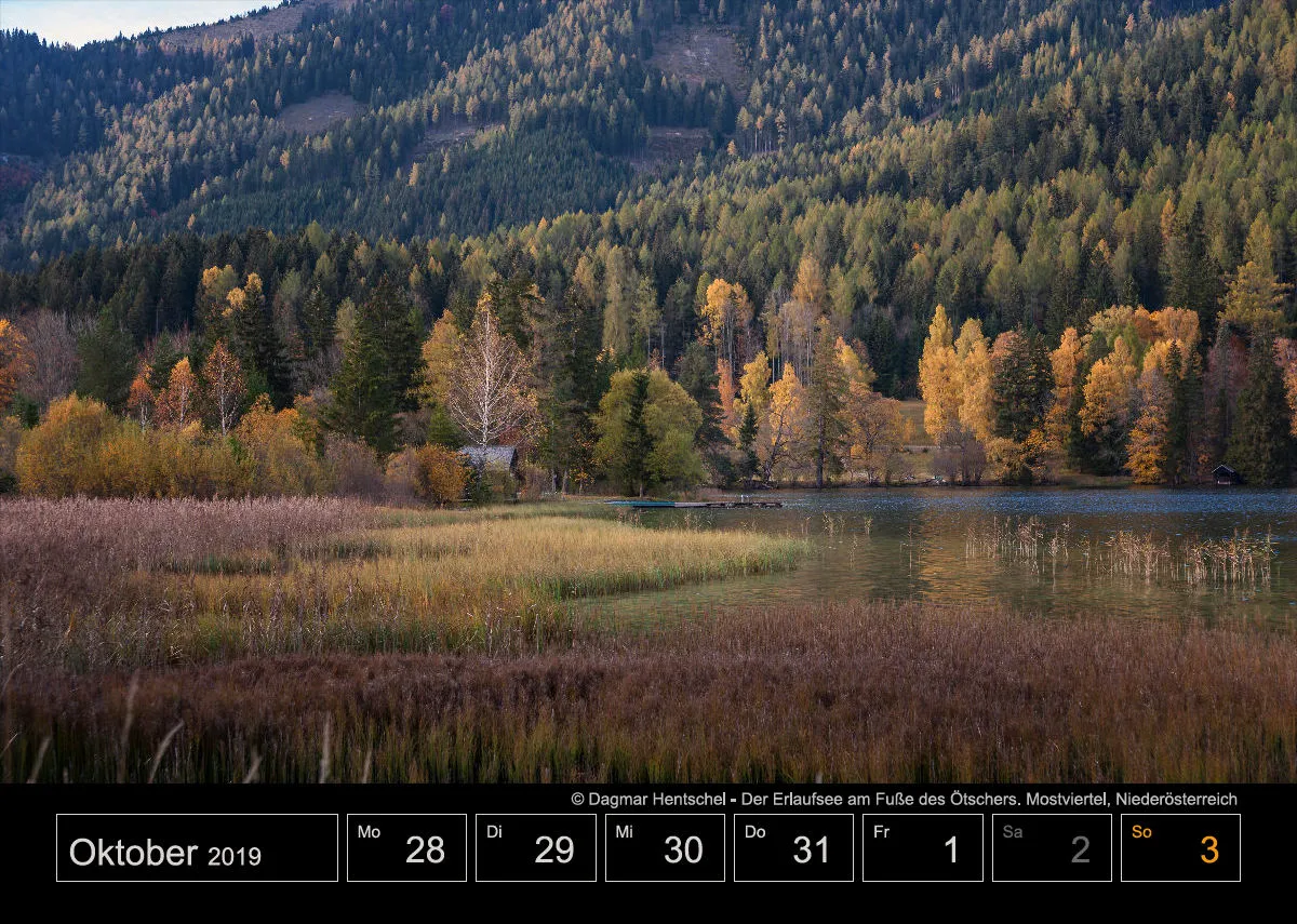 Wochenkalender auf schwarzem Hintergrund A4