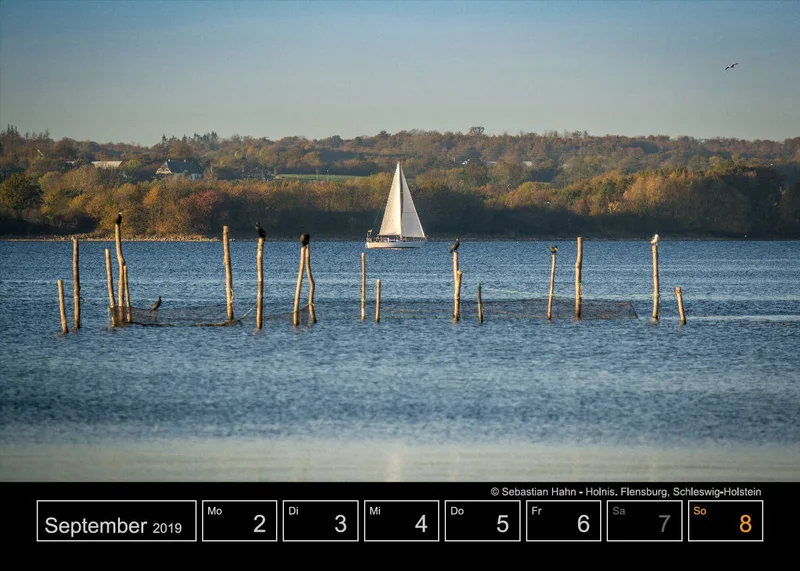 Wochenkalender auf schwarzem Hintergrund A5