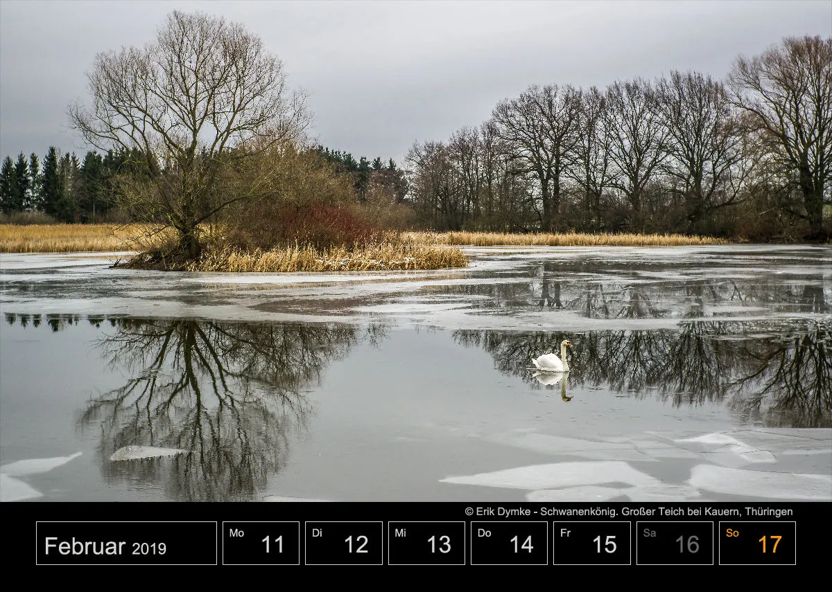 Wochenkalender auf schwarzem Hintergrund A4