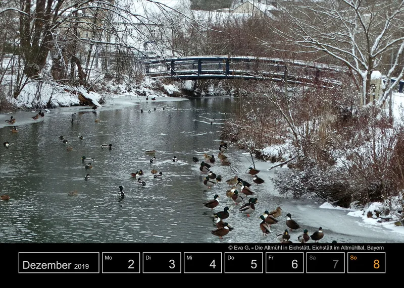 Wochenkalender auf schwarzem Hintergrund A5