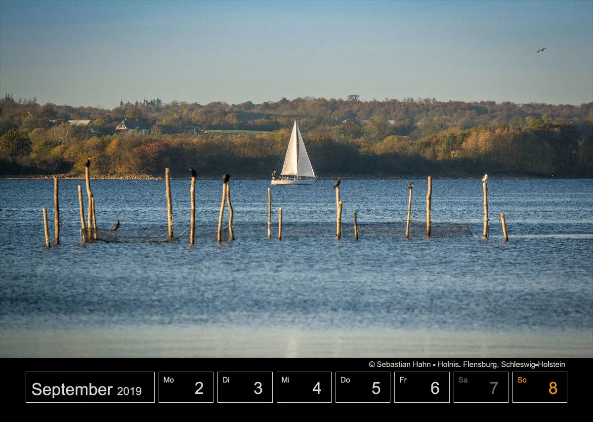 Wochenkalender auf schwarzem Hintergrund A4