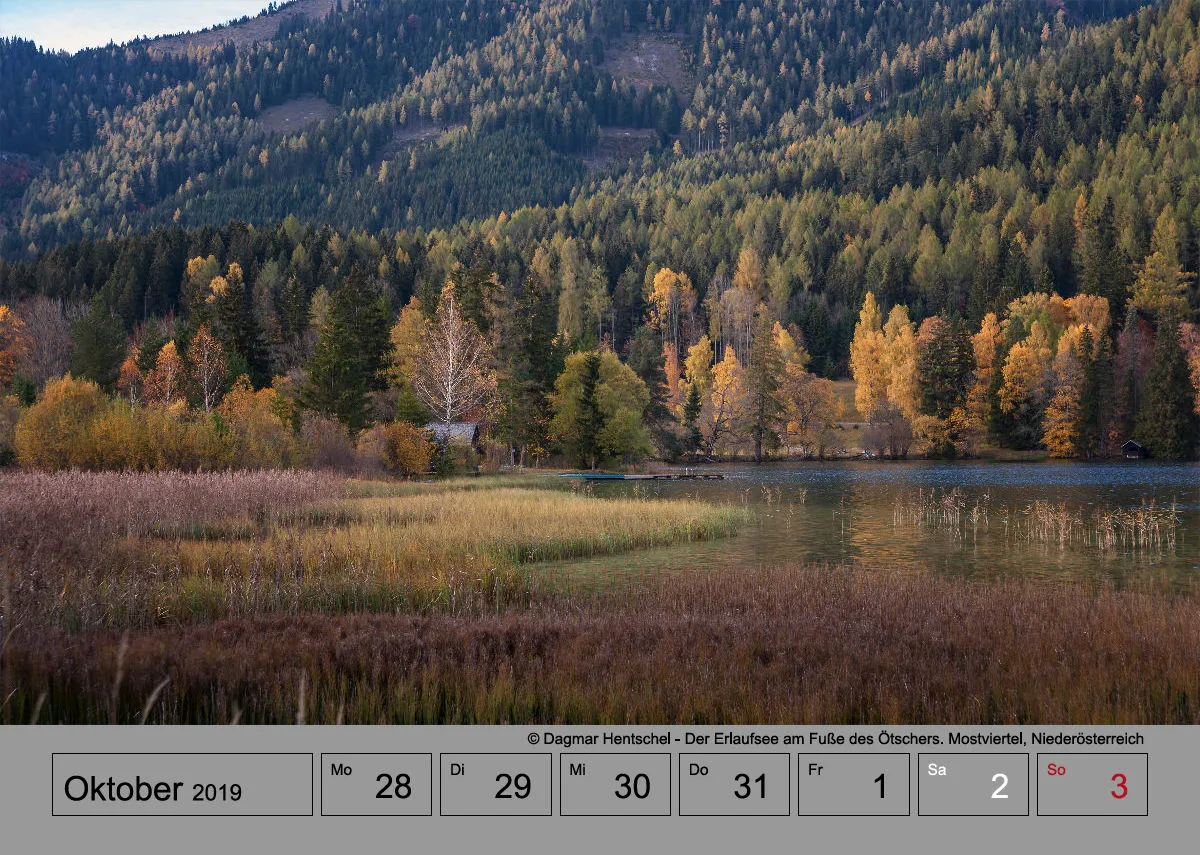 Wochenkalender auf grauem Hintergrund A4