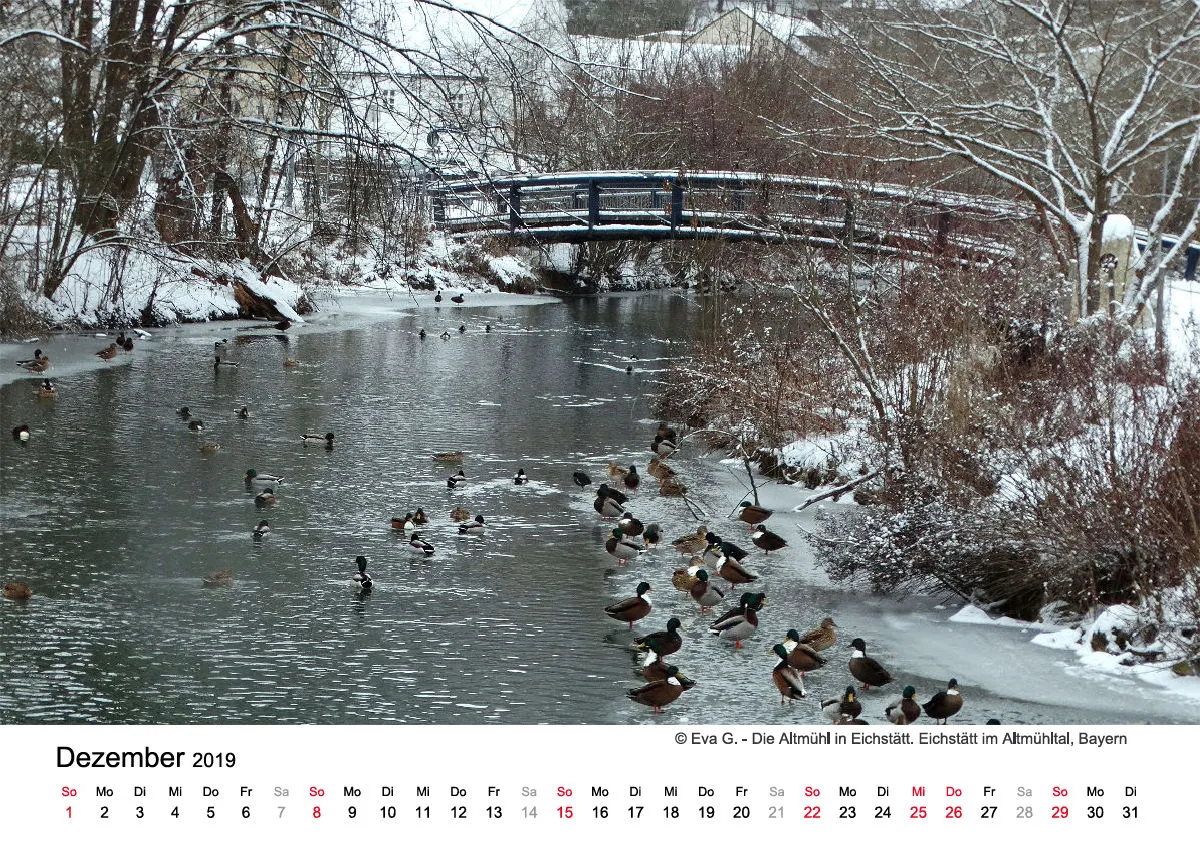 Monatskalender auf hellem Hintergrund A4
