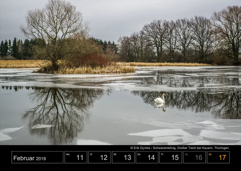 Wochenkalender auf schwarzem Hintergrund A3