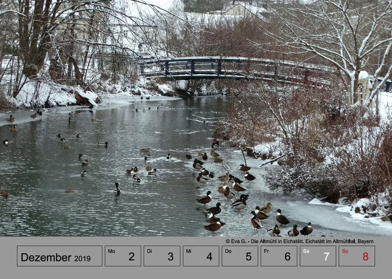 Wochenkalender auf grauem Hintergrund A4