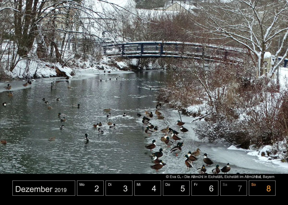 Wochenkalender auf schwarzem Hintergrund A4