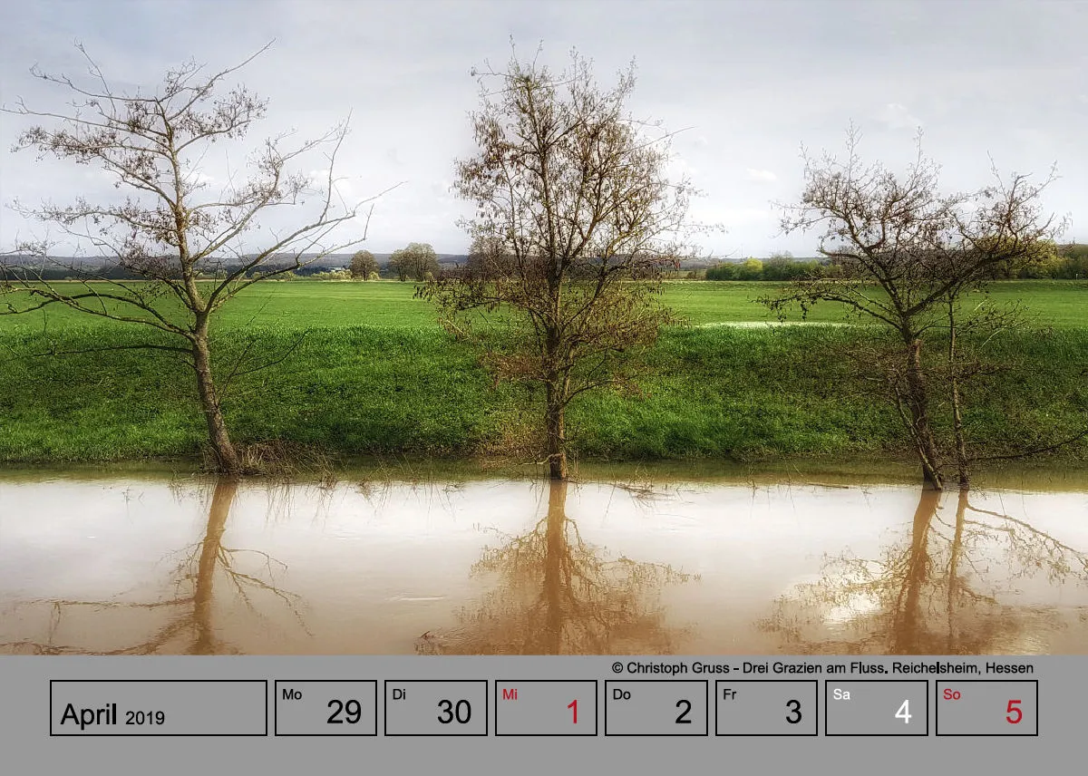 Wochenkalender auf grauem Hintergrund A5