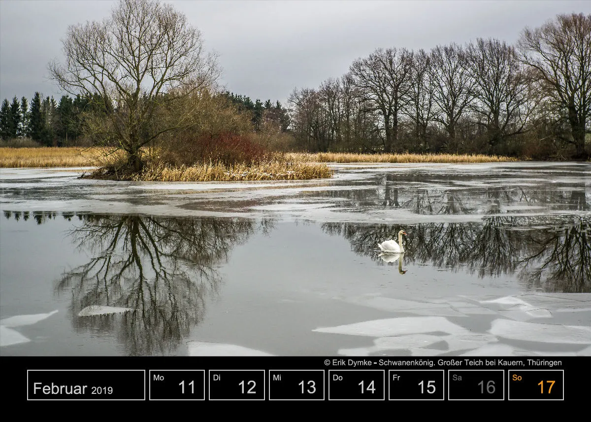 Wochenkalender auf schwarzem Hintergrund A5