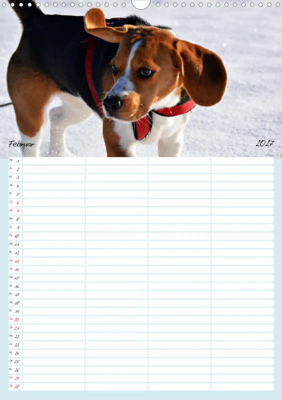 BEAGLE WORLD