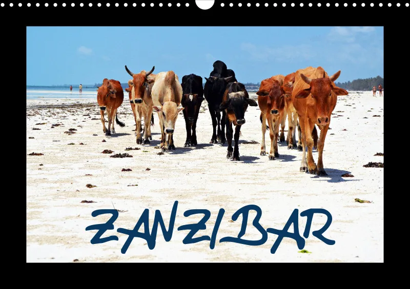 Zanzibar 2026
