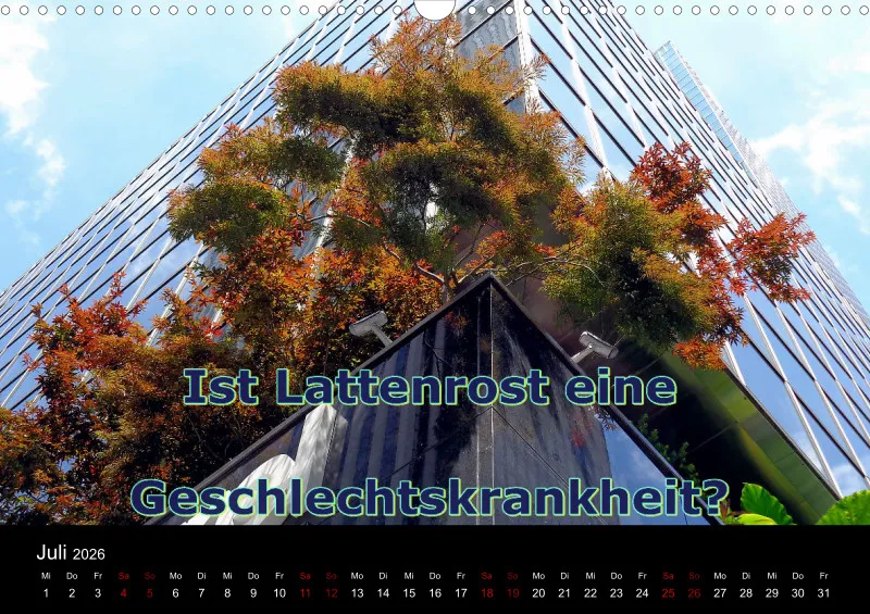 Weise Sprüche 2026