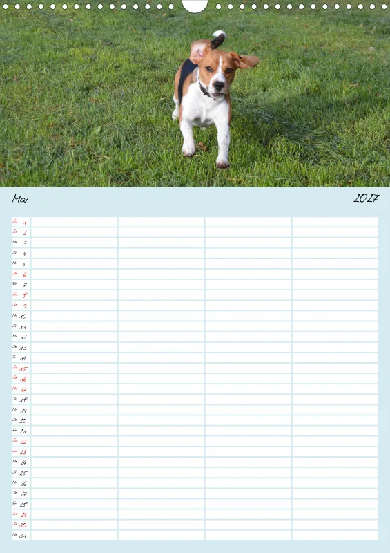 BEAGLE