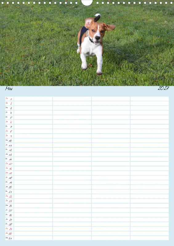 BEAGLE WORLD
