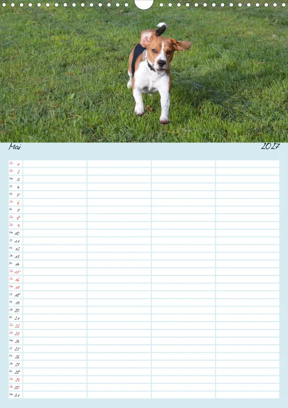 BEAGLE WORLD