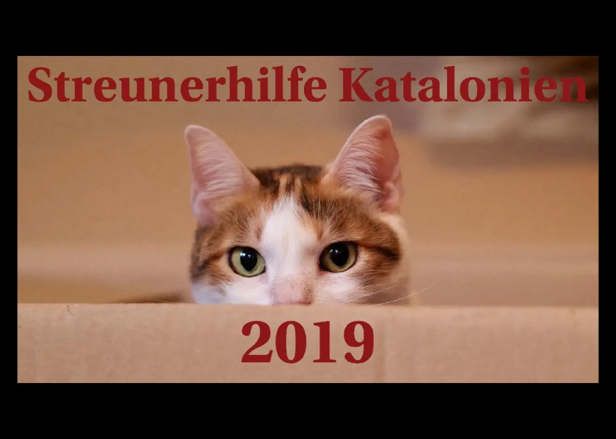 Streunerhilfe 2019