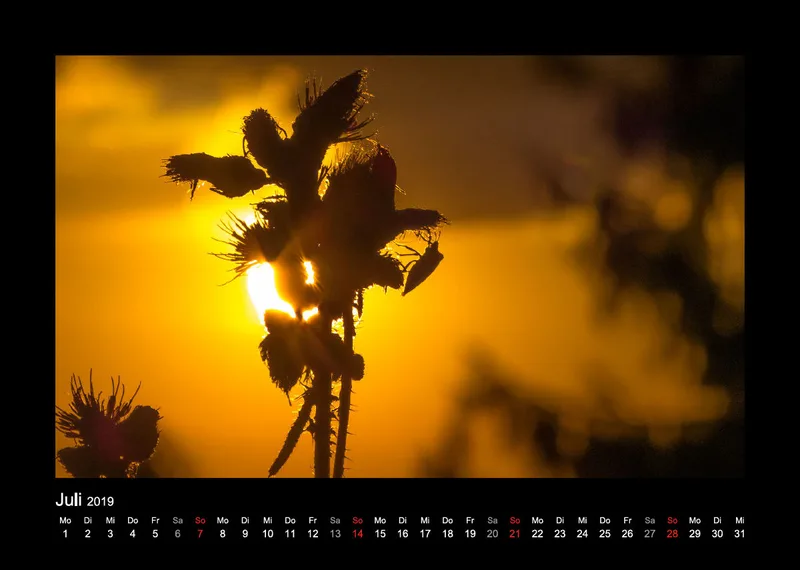Fotokalender / Nr. 1
