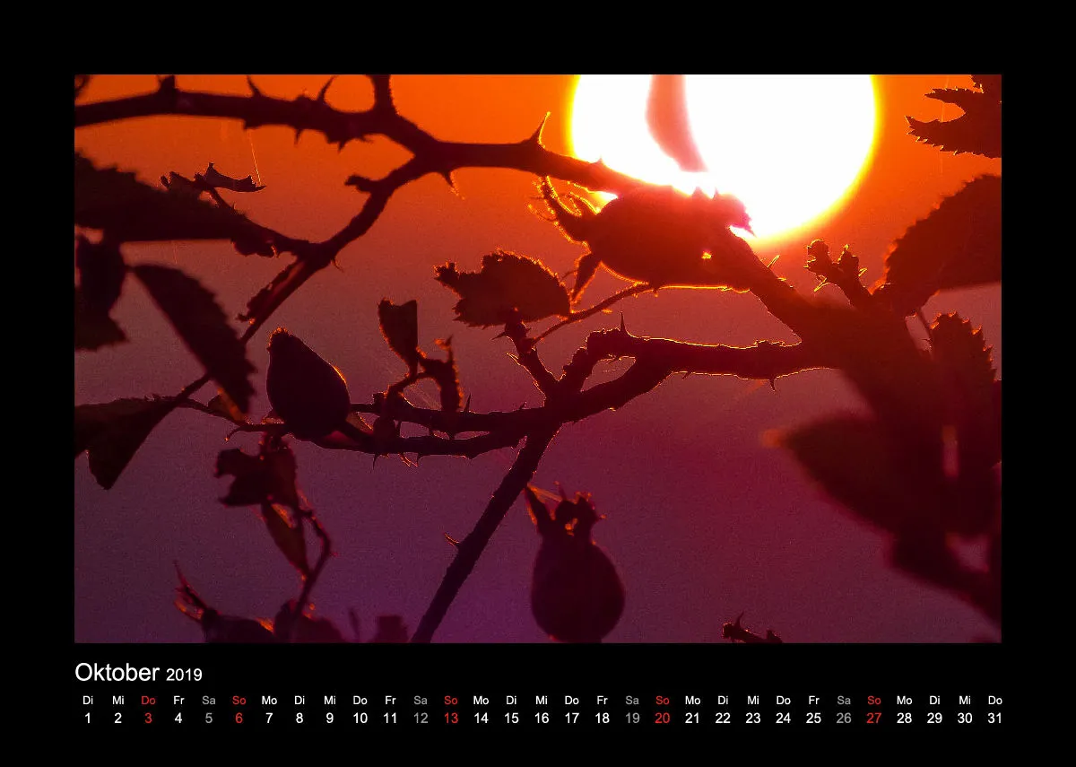 Fotokalender / Nr. 1