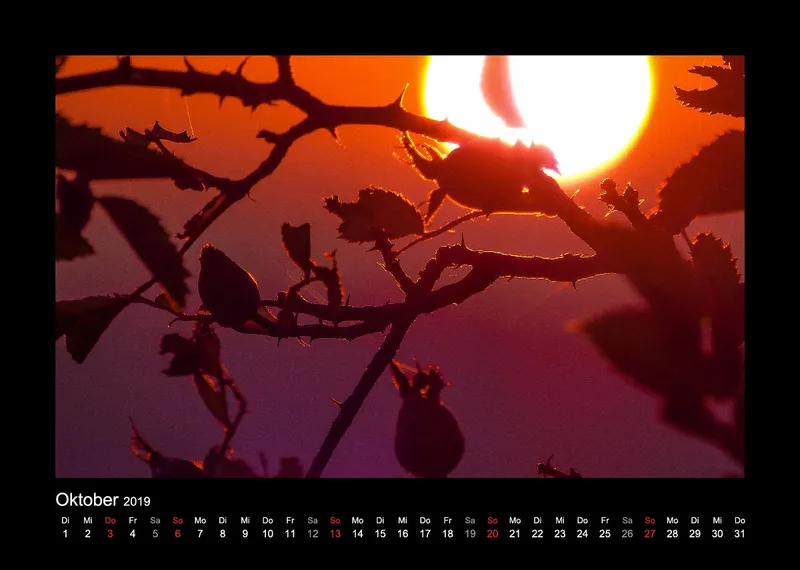 Fotokalender / Nr. 1