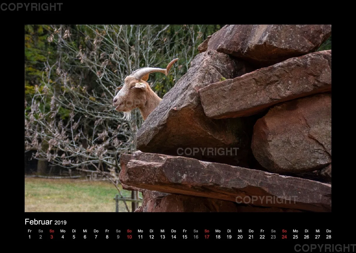 Fotokalender Wild-und Wanderpark 2019