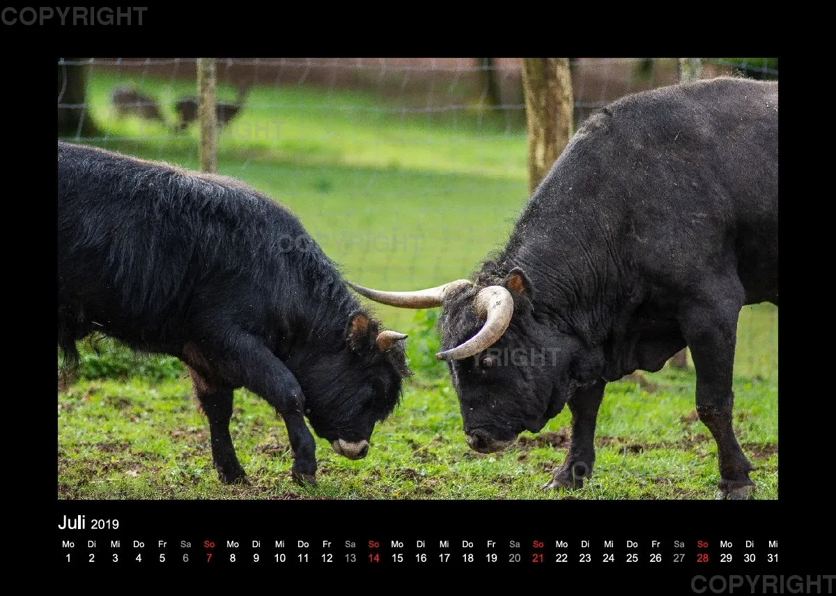 Fotokalender Wild-und Wanderpark 2019