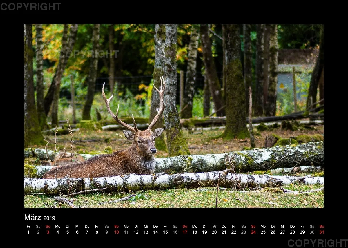 Fotokalender Wild-und Wanderpark 2019