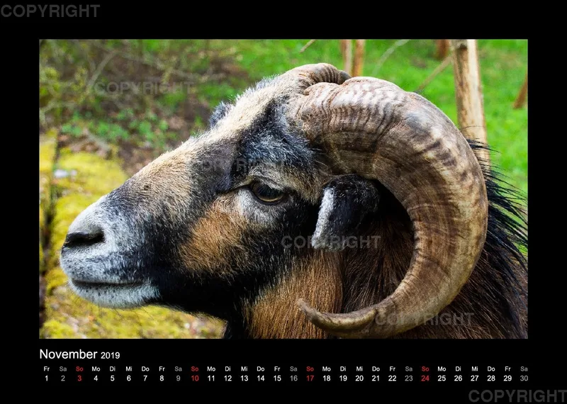 Fotokalender Wild-und Wanderpark 2019