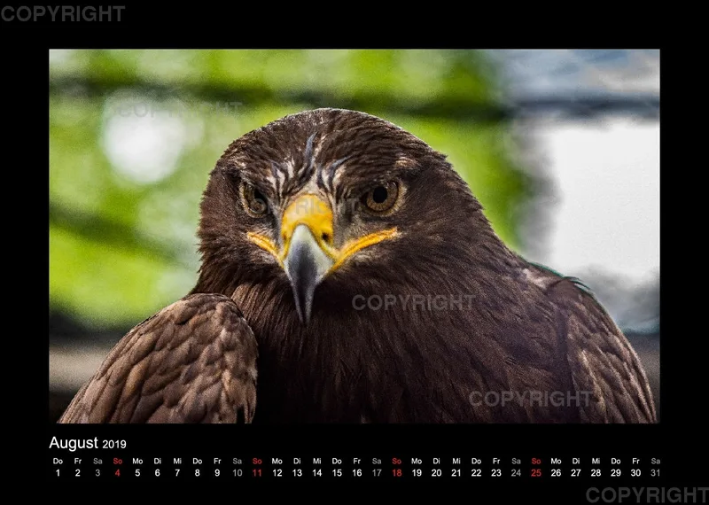 Fotokalender Wild-und Wanderpark 2019