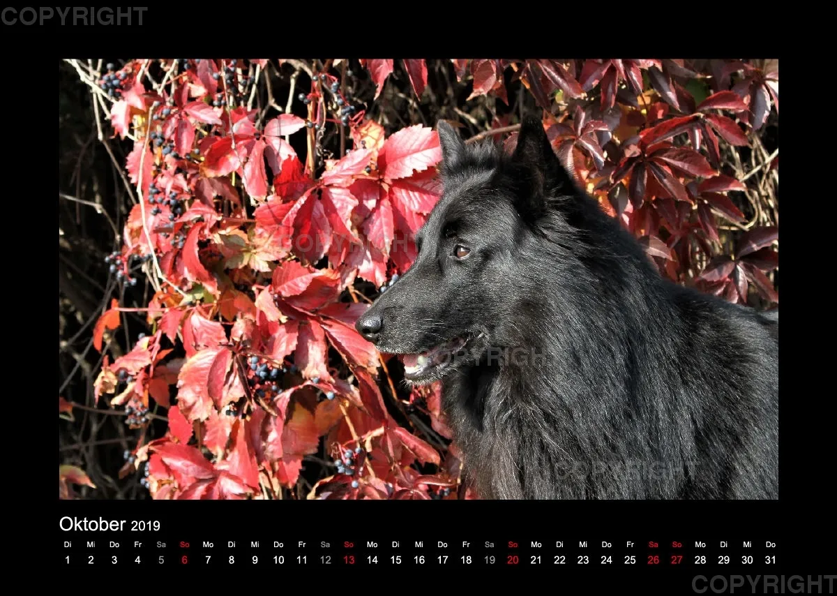 Groenedael Fotokalender A3