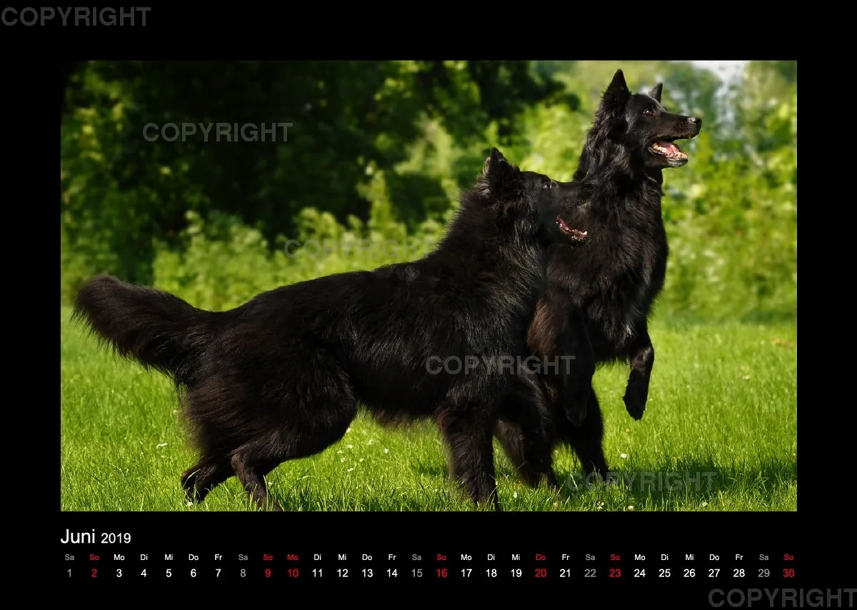 Groenedael Fotokalender A3
