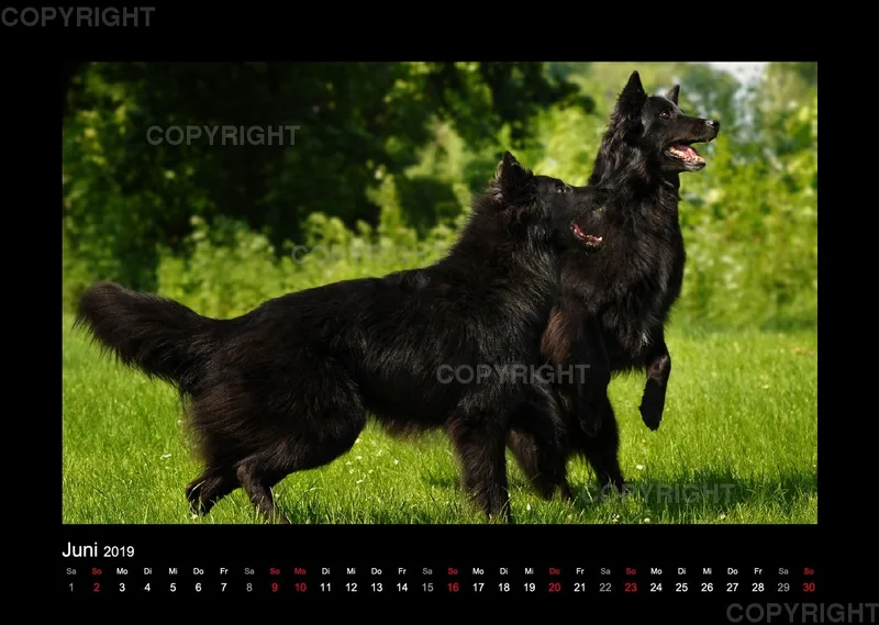 Groenedael Fotokalender A3