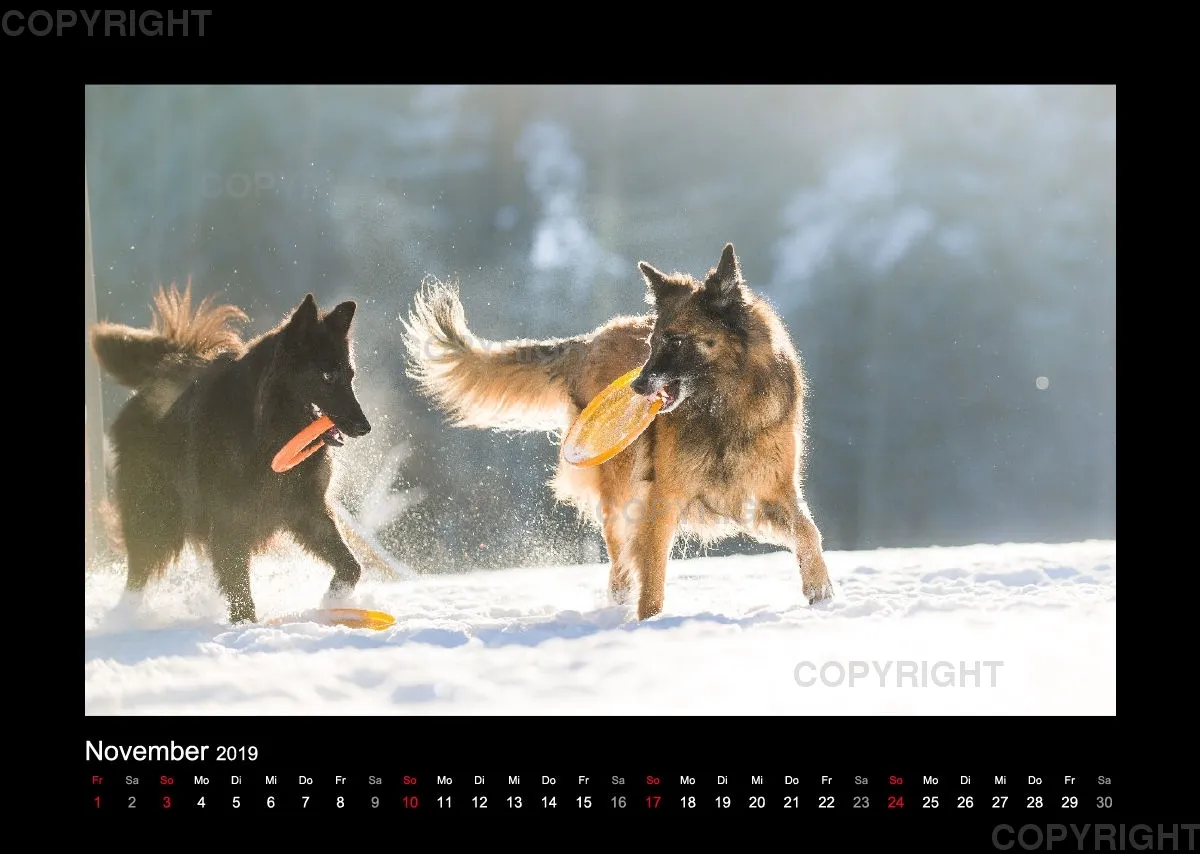 Groenedael Fotokalender A3