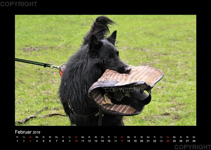 Groenedael Fotokalender A3
