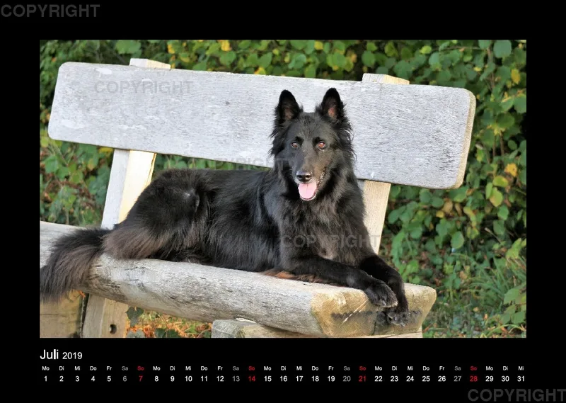 Groenedael Fotokalender A3