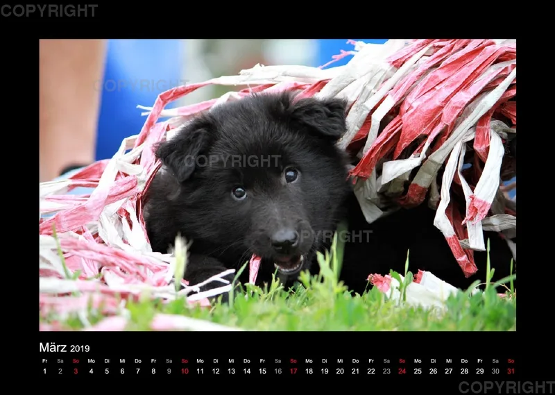Groenedael Fotokalender A3