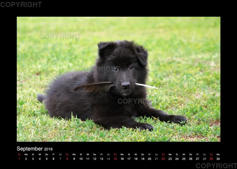Groenedael Fotokalender A3