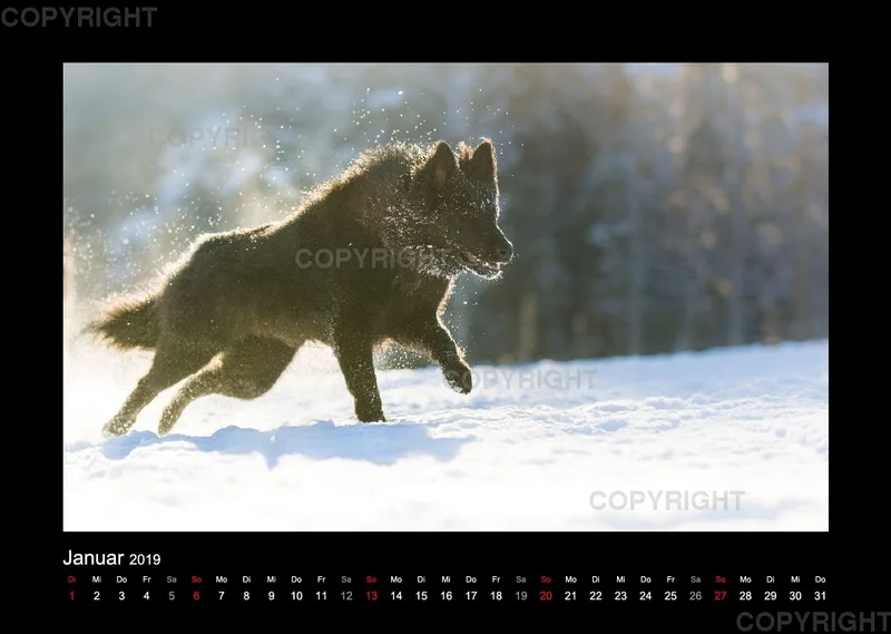 Groenedael Fotokalender A3