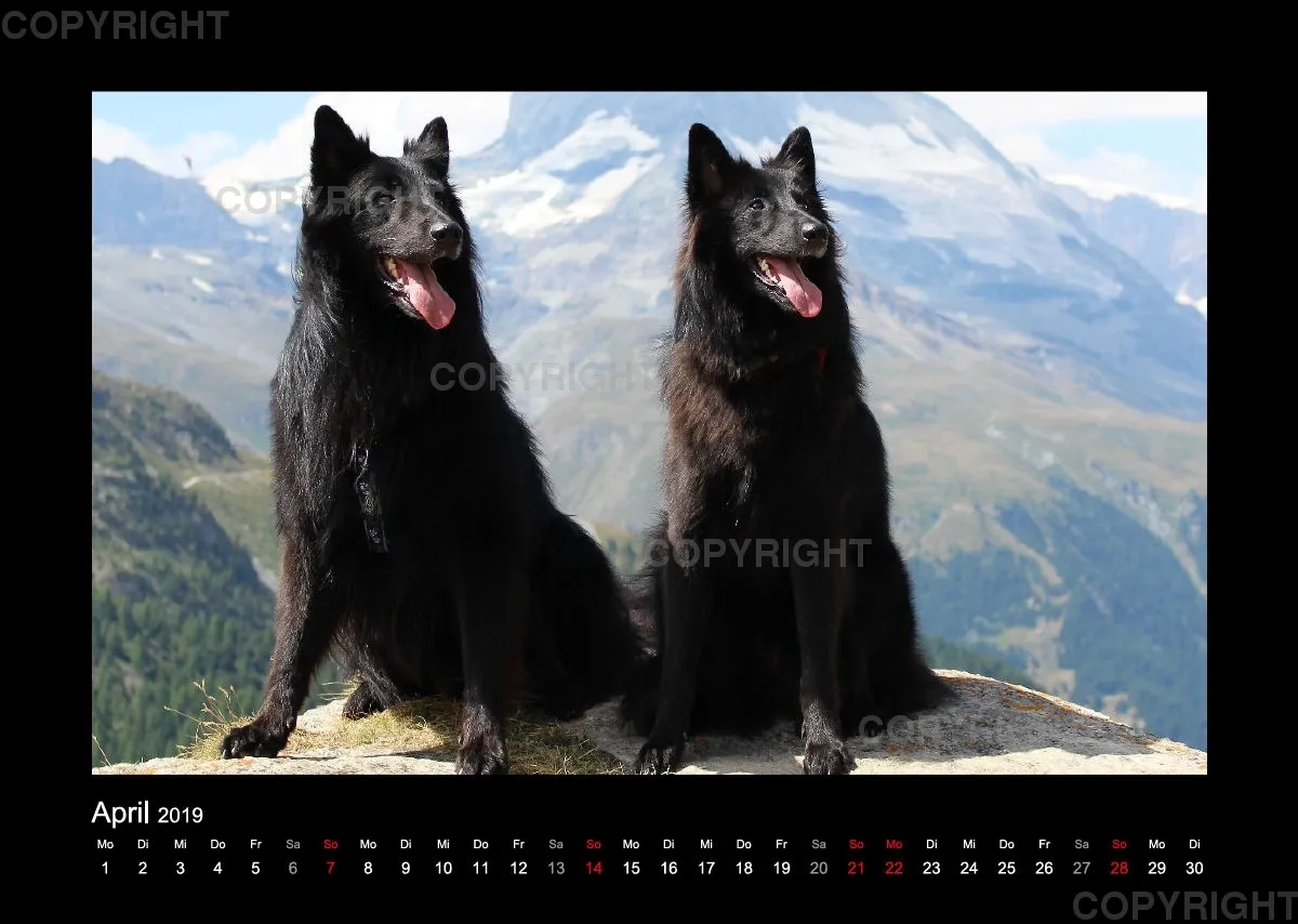 Groenedael Fotokalender A3