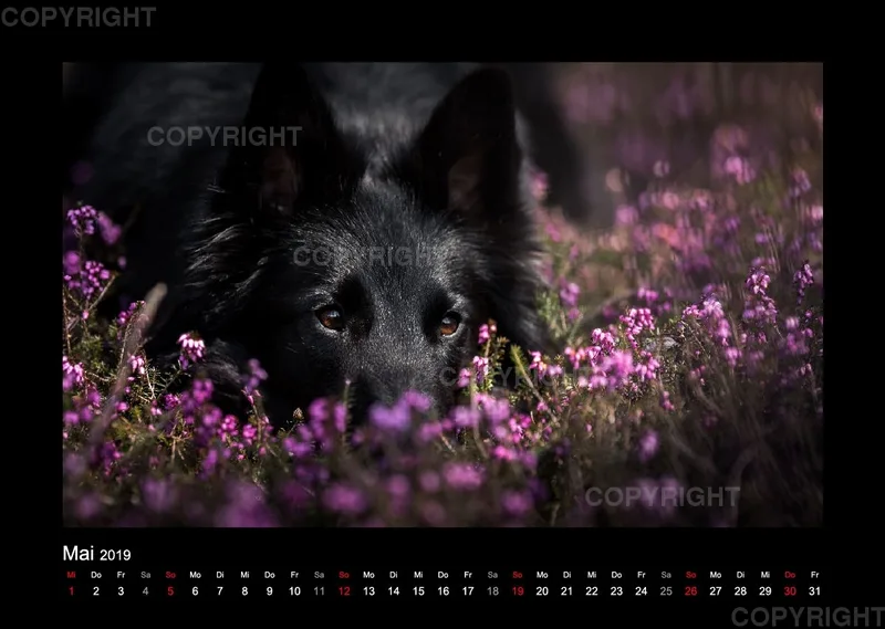 Groenedael Fotokalender A3