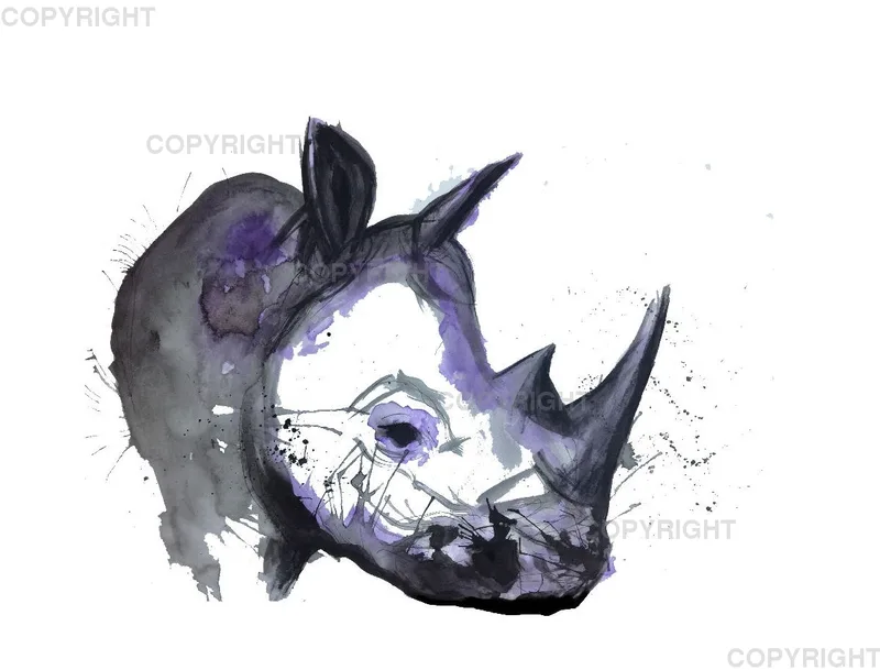 Leinwand / Nashorn 80 x 60cm