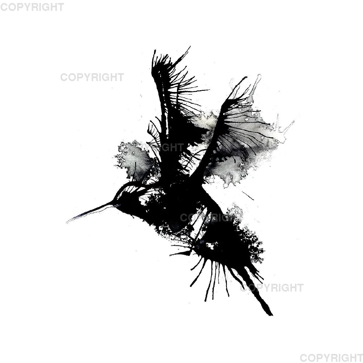 Leinwand / Kolibri 30 x 30cm