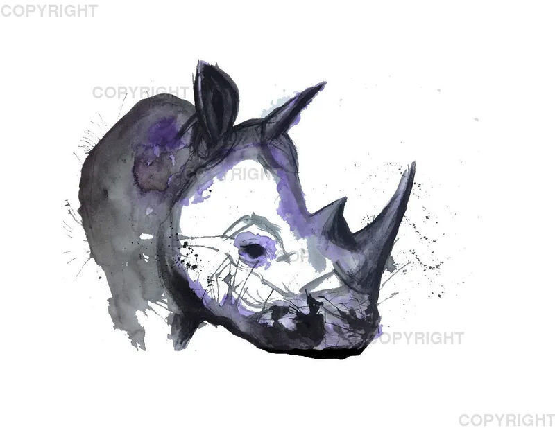Leinwand / Nashorn 40 x 30cm