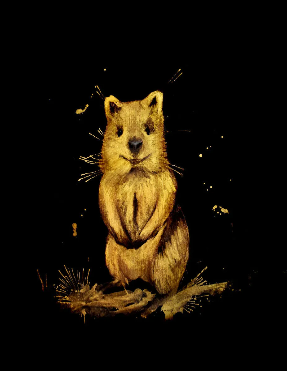 Leinwand / Quokka 30 x 40 cm