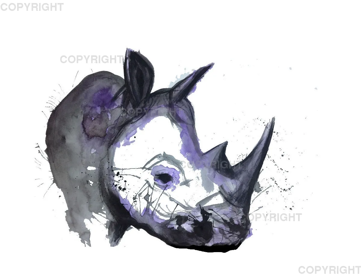 Leinwand / Nashorn 80 x 60cm